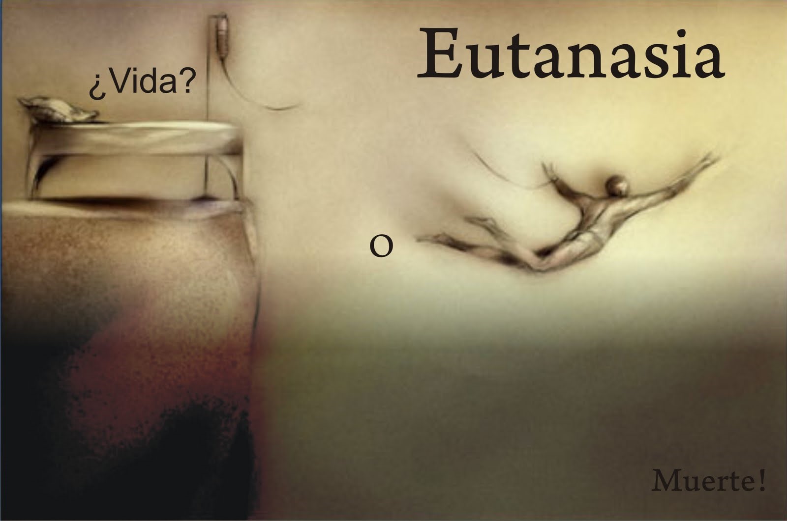 https://arquimedia.s3.amazonaws.com/64/imagenes/articulo-eutanasiajpg.jpg